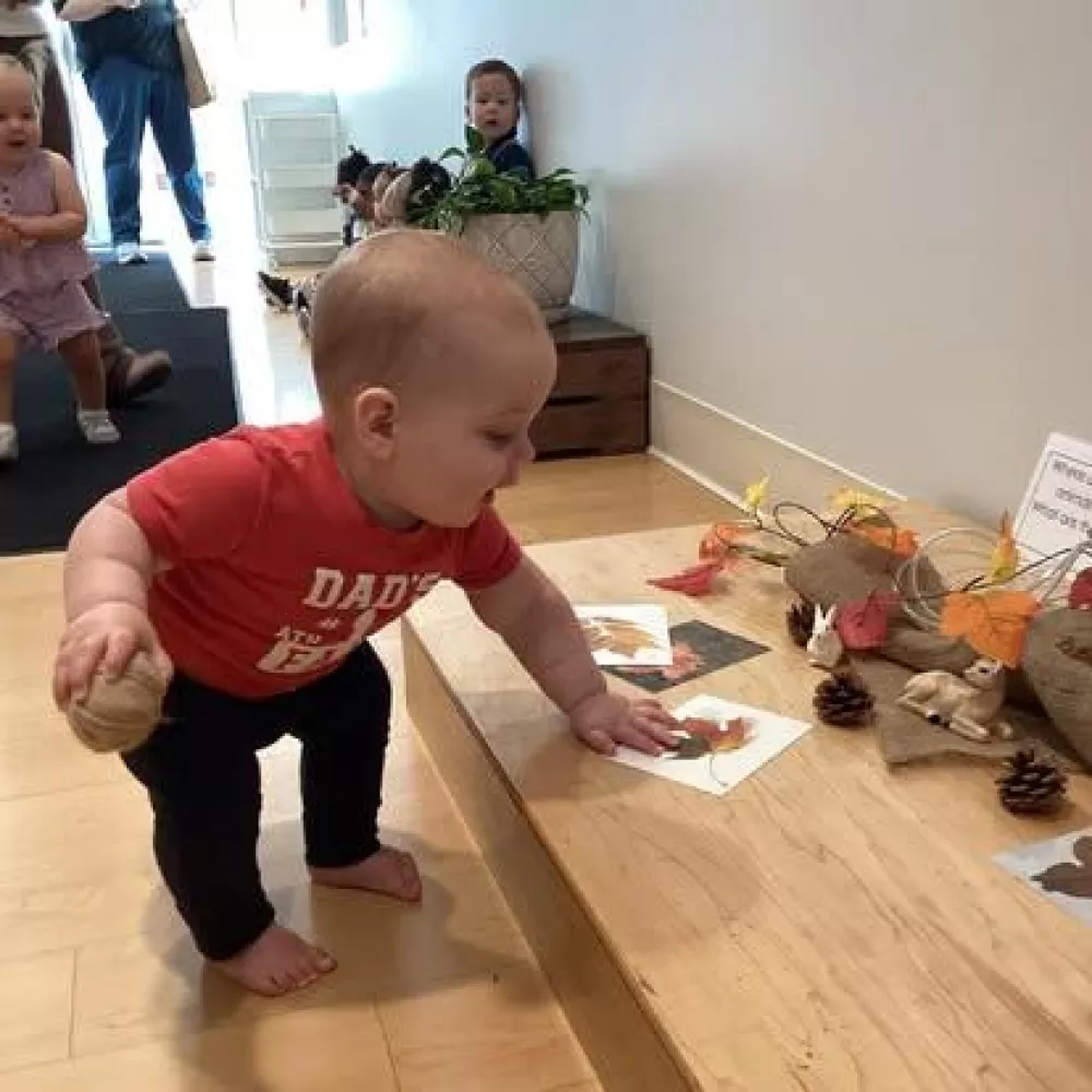 559365137 815634714311162 6403571215386493868 n