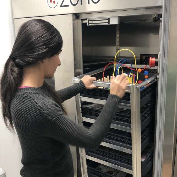Zono2