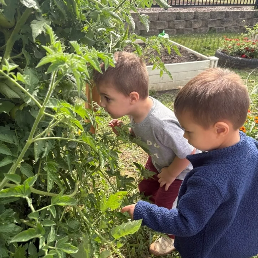 582738411 1397739665692012 4803413523320746134 n