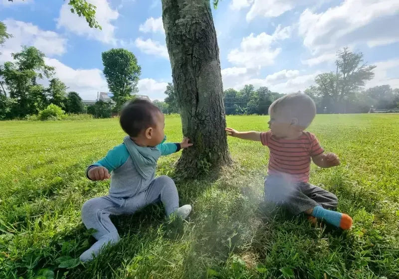 KLA Schools of Prospect Environment