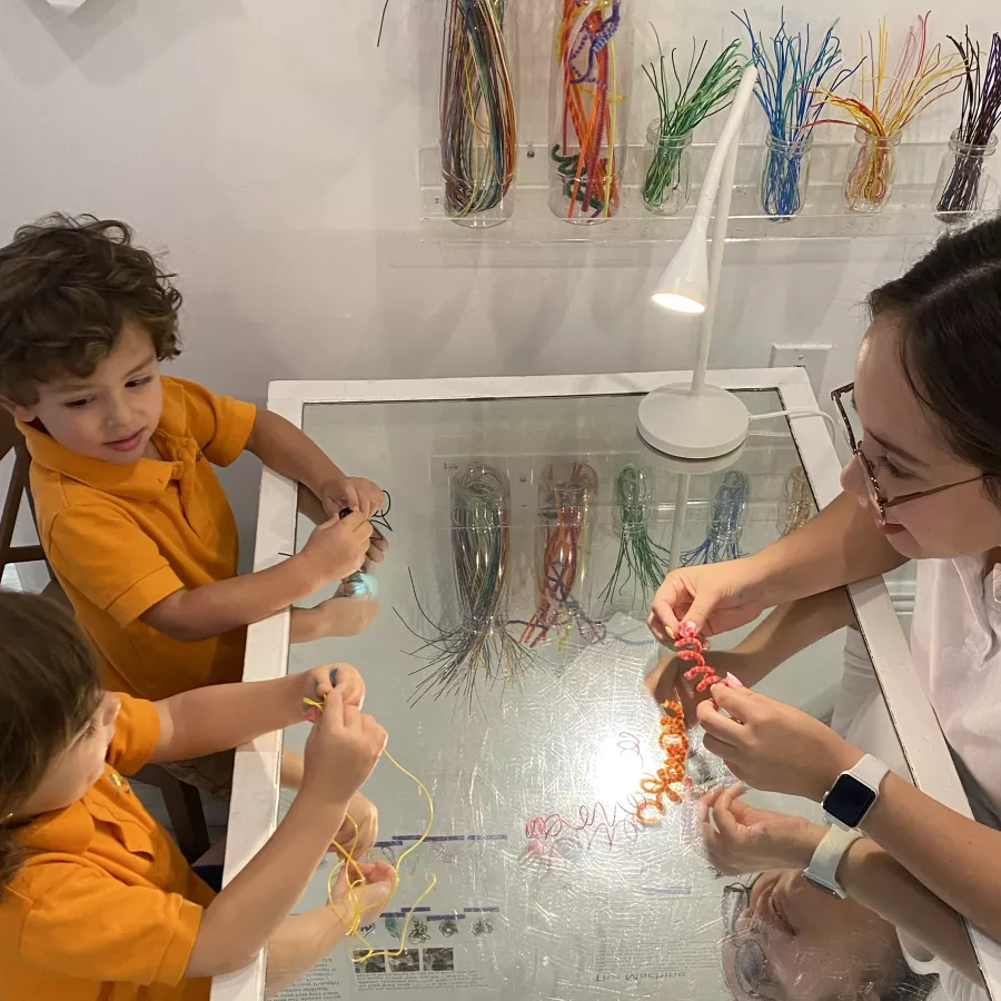 Wire students teacher 5