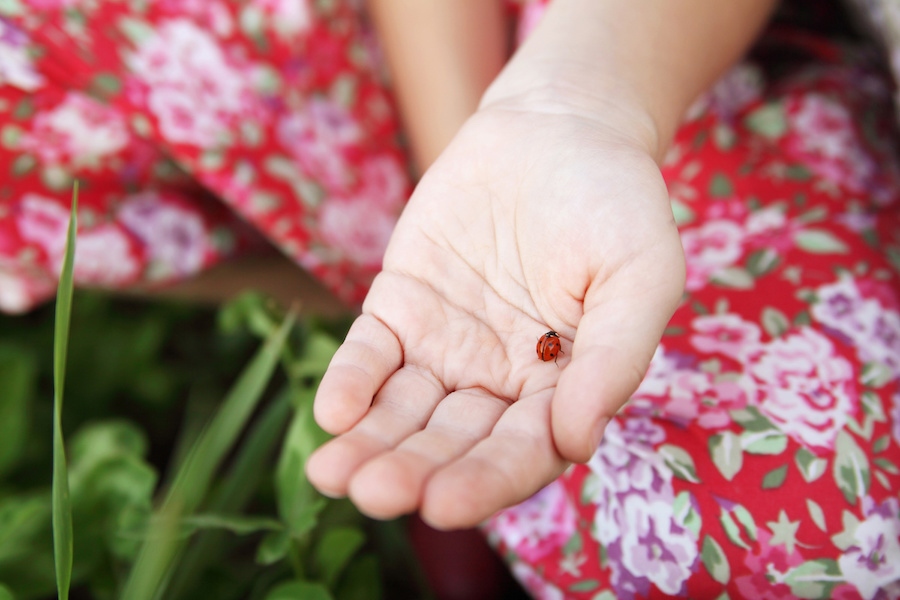 4 science projects for preschoolers