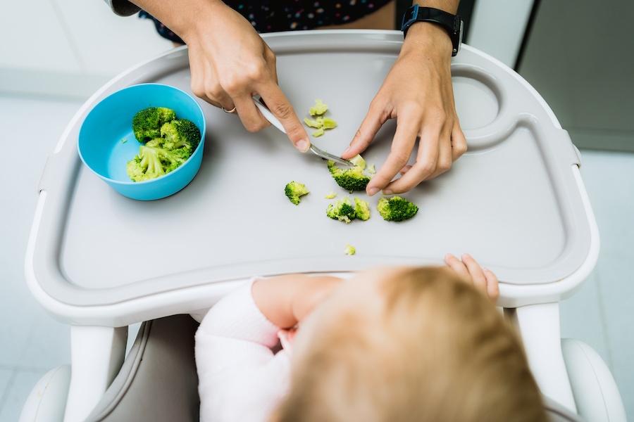 Food Safety for Young Children