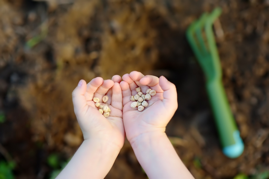 Spring Themed Sensory Bin Ideas