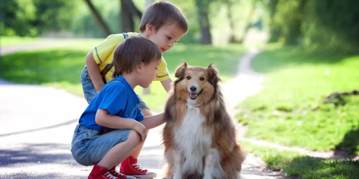 Ways to help your child learn about animals e1474498448329