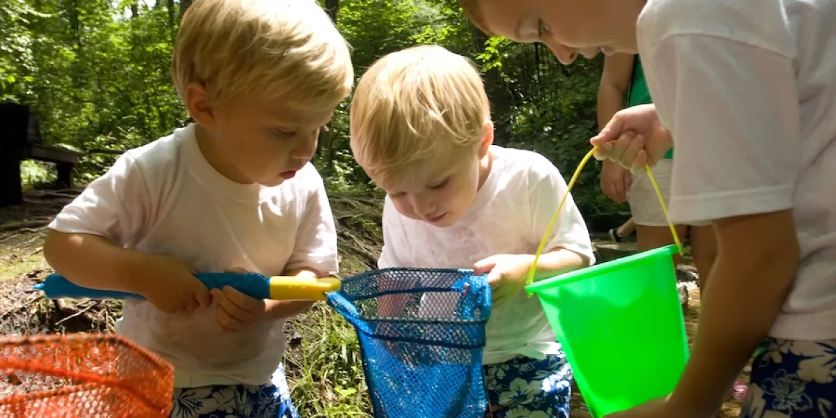 How to choose the best summer camp