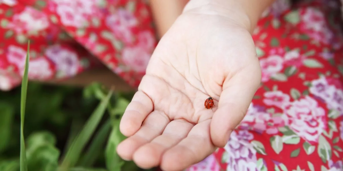 4 science projects for preschoolers