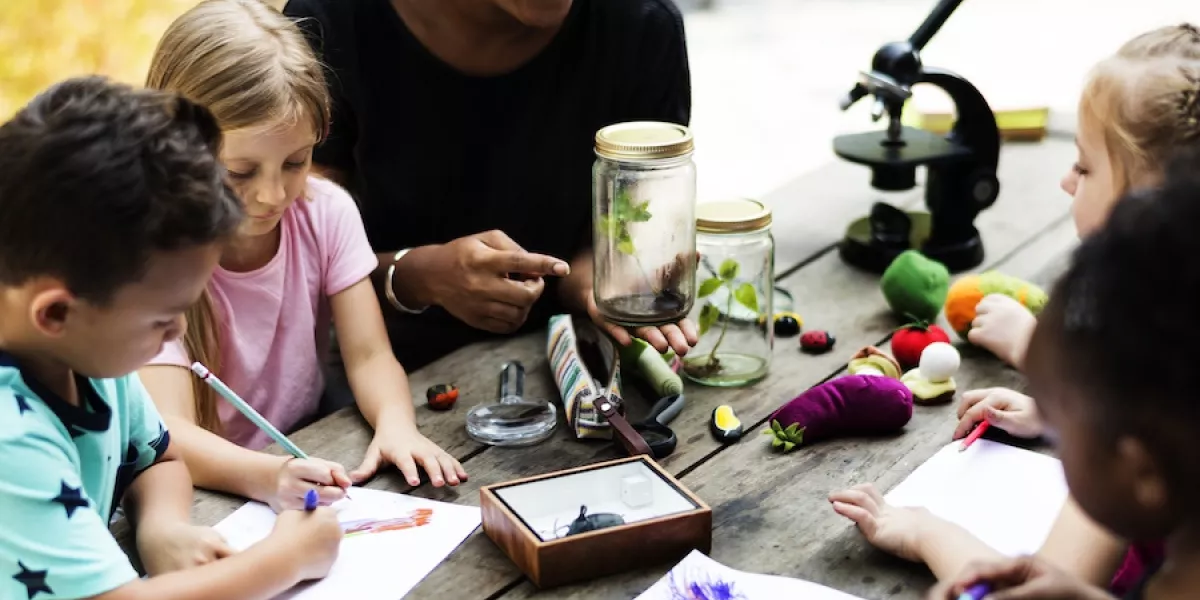 Why summer camp is beneficial
