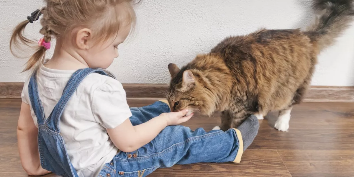 How to integrate a pet into your family