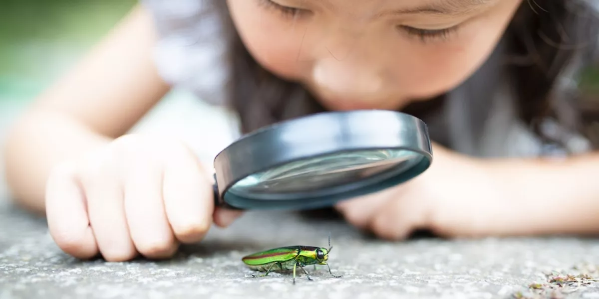 Nurturing curiosity in children