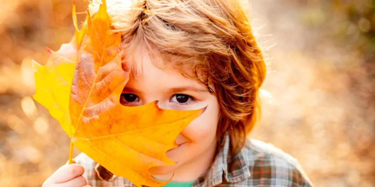 Autumn crafts for children