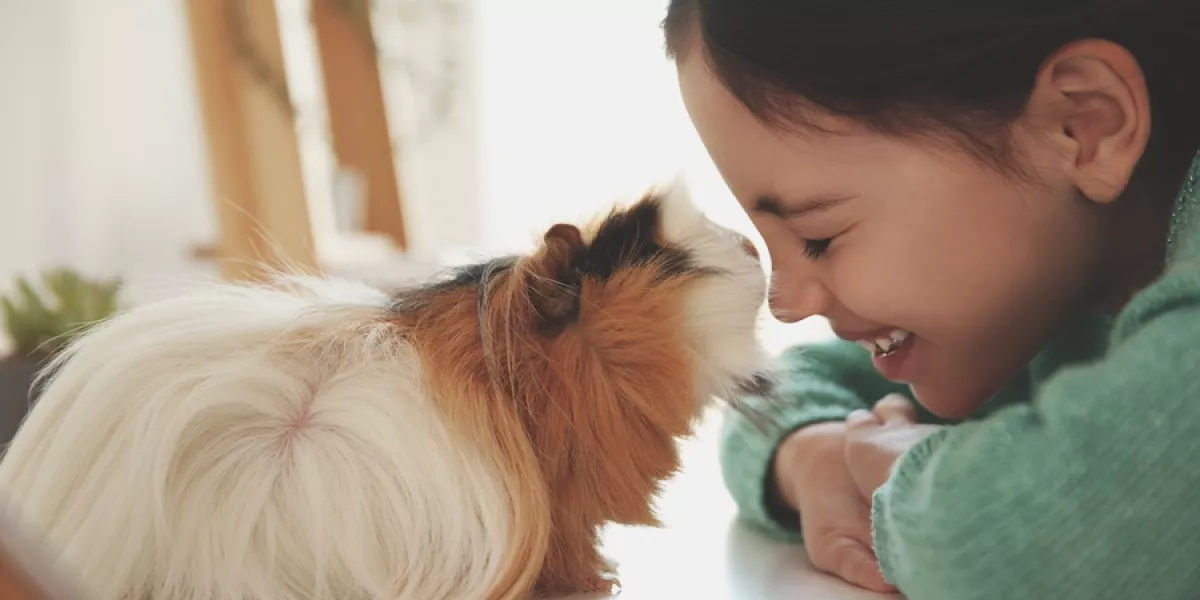 Considerations for a family pet