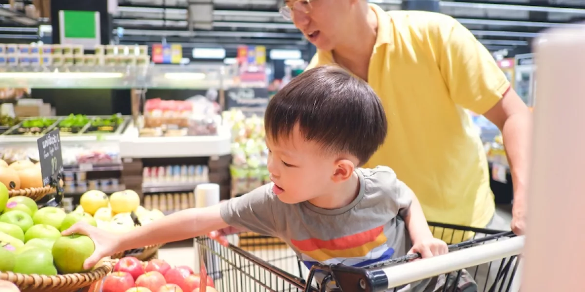 Tips for Running Errands With Your Toddler