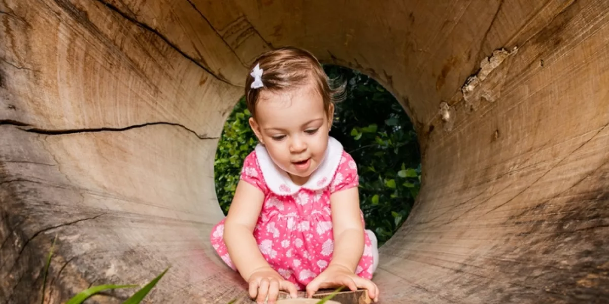 A9ff99d8 0cfd 11f1 aa38 0242ac120003