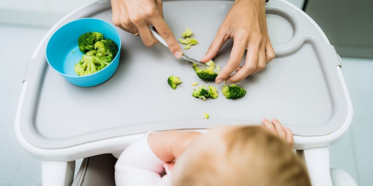 Food Safety for Young Children