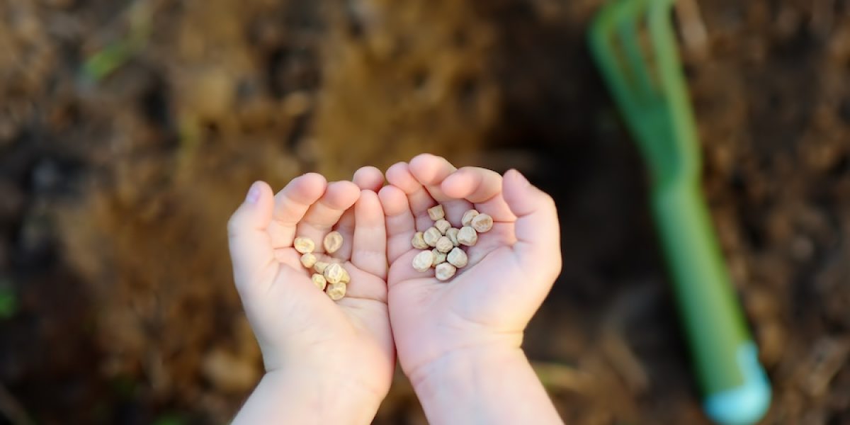 Spring Themed Sensory Bin Ideas