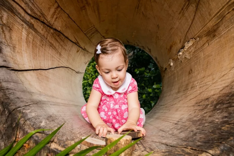 A9ff99d8 0cfd 11f1 aa38 0242ac120003