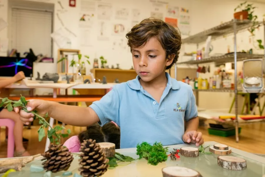 Preschool boy arts class