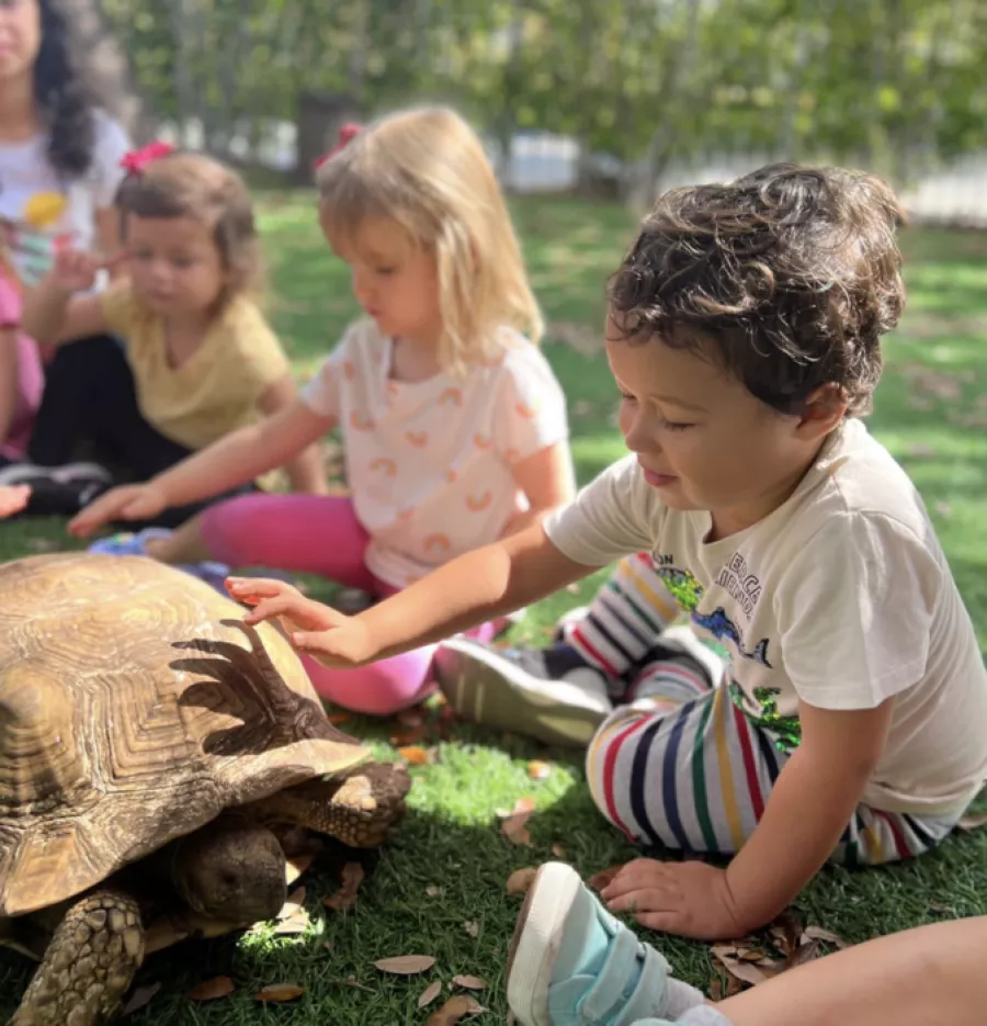 Preschool children with turtle