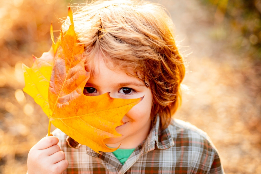 Autumn crafts for children