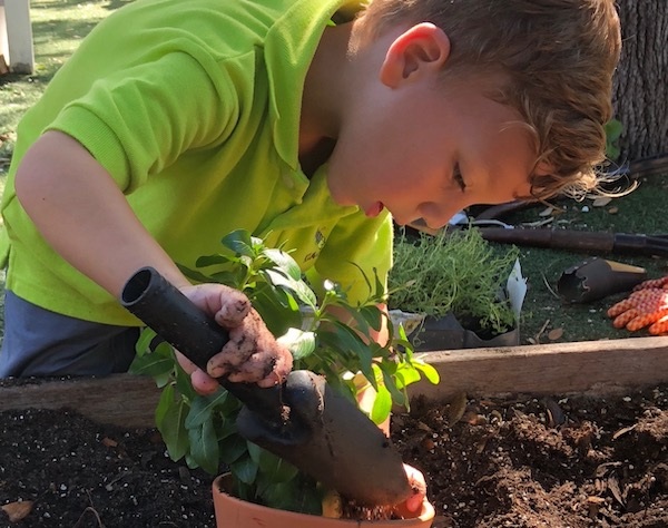 Gardening ideas for young children