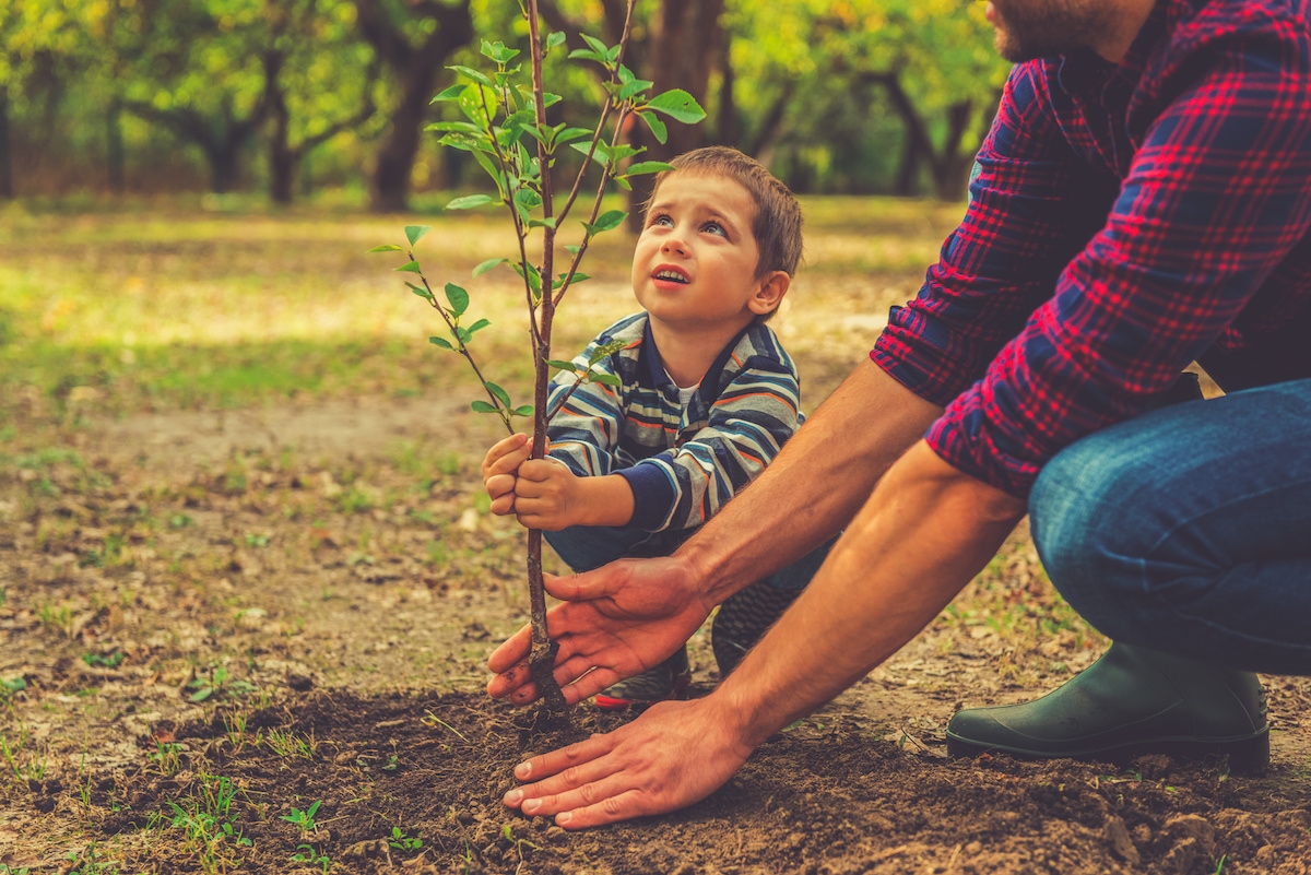 How to garden with small children