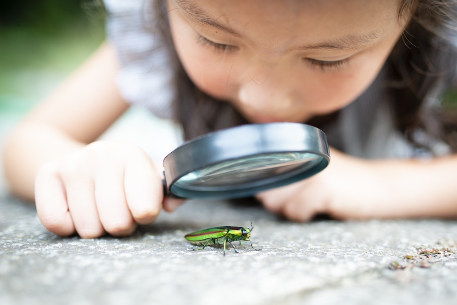 Nurturing curiosity in children