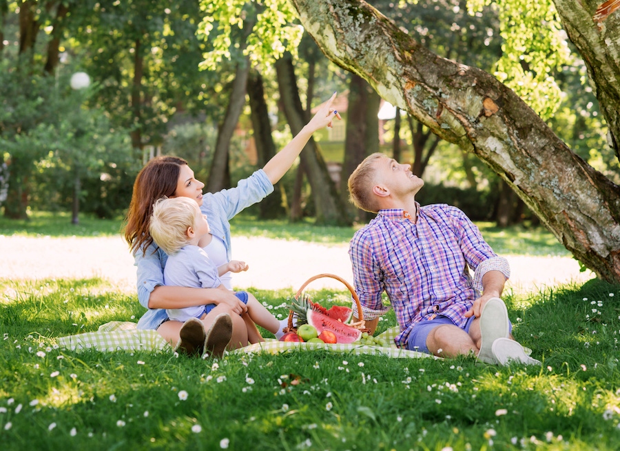 Springtime activities for the whole family