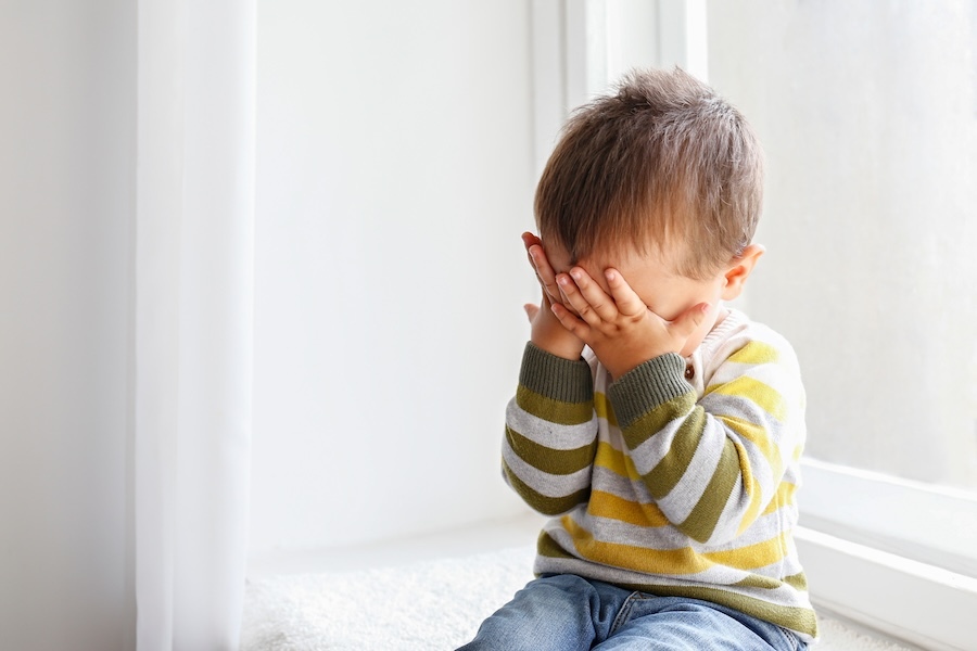 Understanding Toddler Tantrums KLA Schools of Bellevue