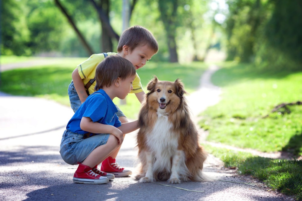 Ways to help your child learn about animals e1474498448329