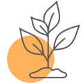 Plant icon orange