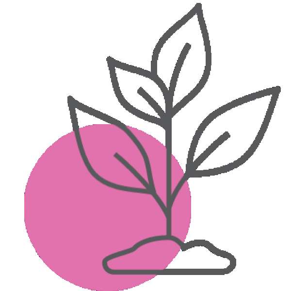 Plant icon pink