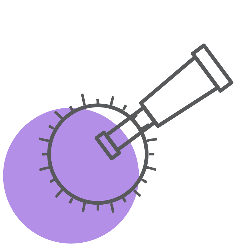 Steam2 purple