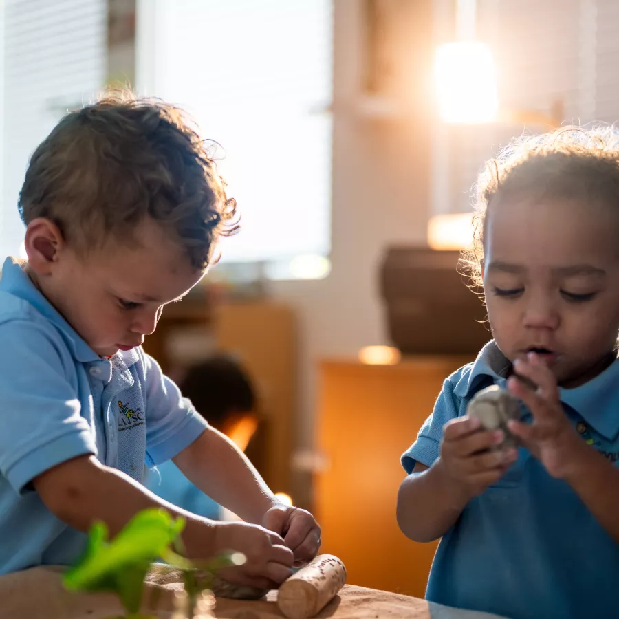 sensory learning