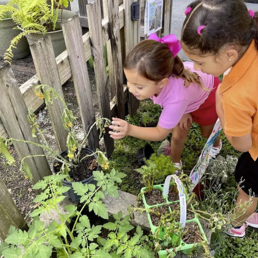 two students exploring a potted plant at our preschool