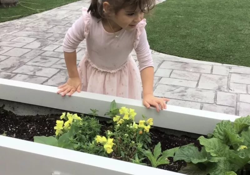 Screen Shot 2023 03 07 at 11 33 41 AM