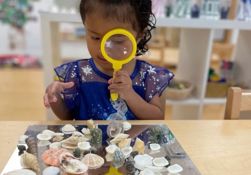 315773806 796073168152510 6911135297332970360 n