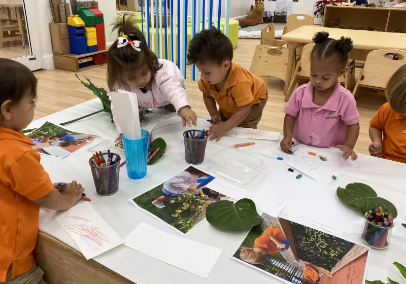 Classroom toddlers and plants