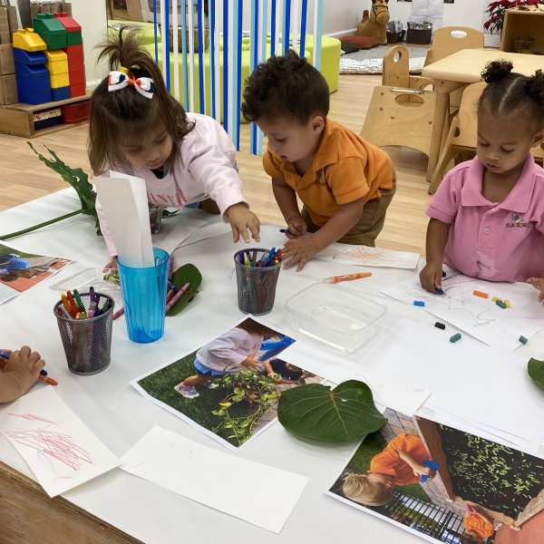 Classroom toddlers and plants