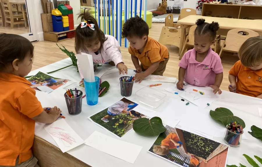 Classroom toddlers and plants