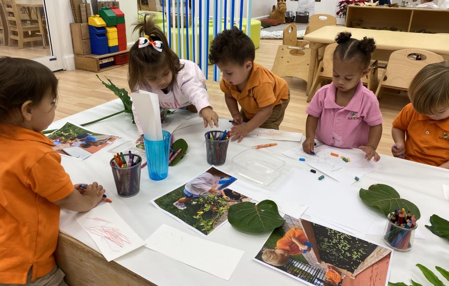 Classroom toddlers and plants
