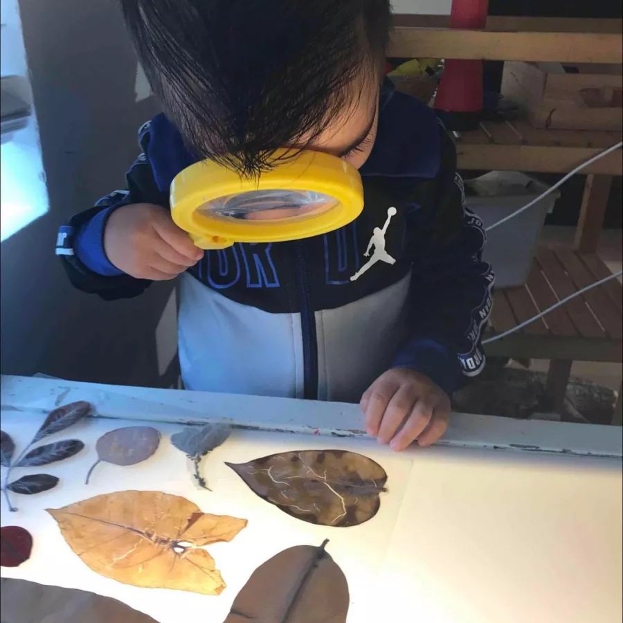 Preschool science