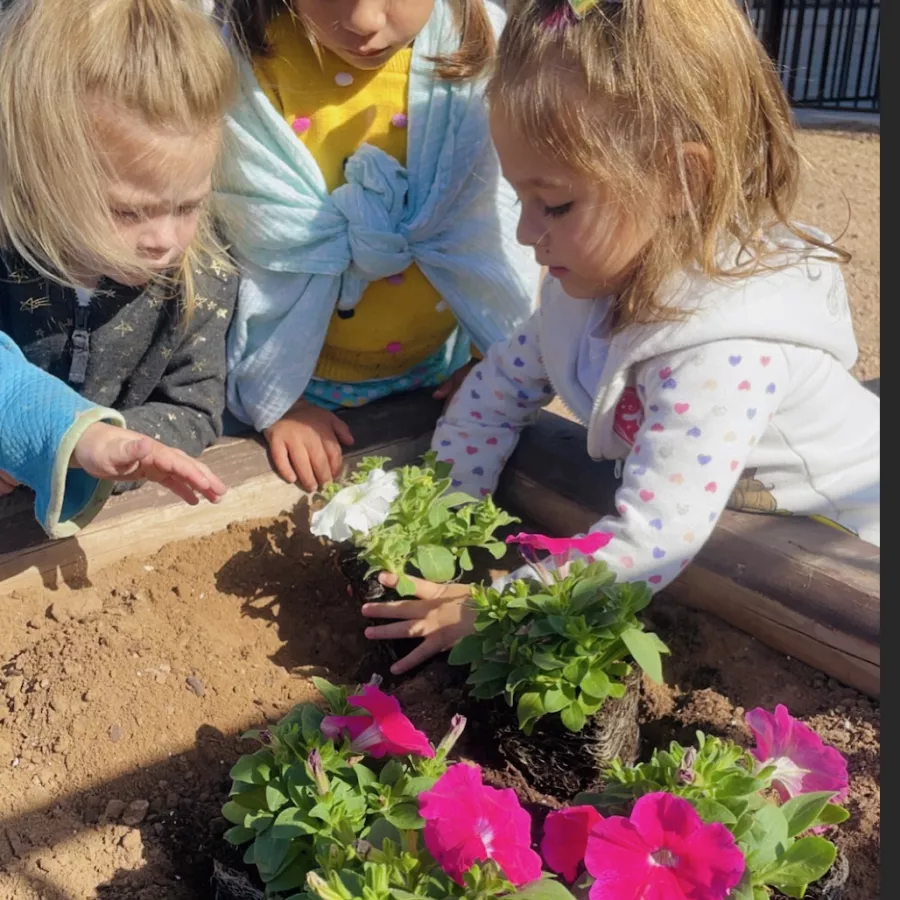 Screen Shot 2022 11 22 at 4 40 51 PM